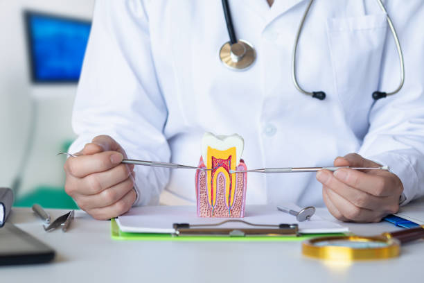 Best Emergency Dental Care for Trauma or Injury in Velva, ND
